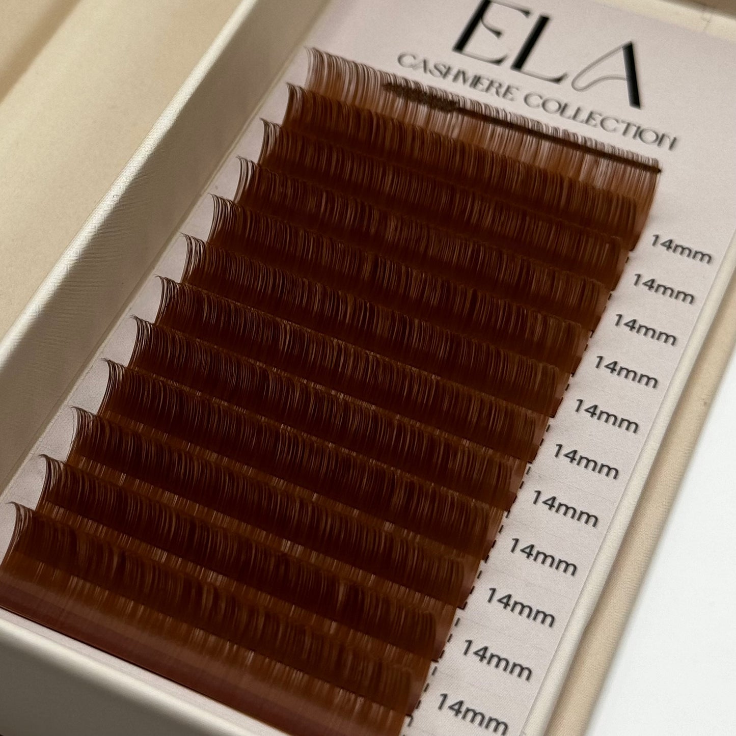 Light Brown Lash Trays - Honey